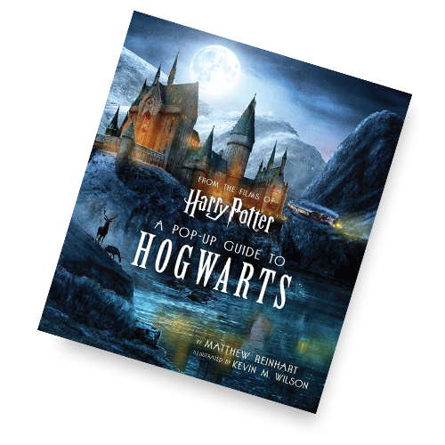 Harry Potter pop-up book