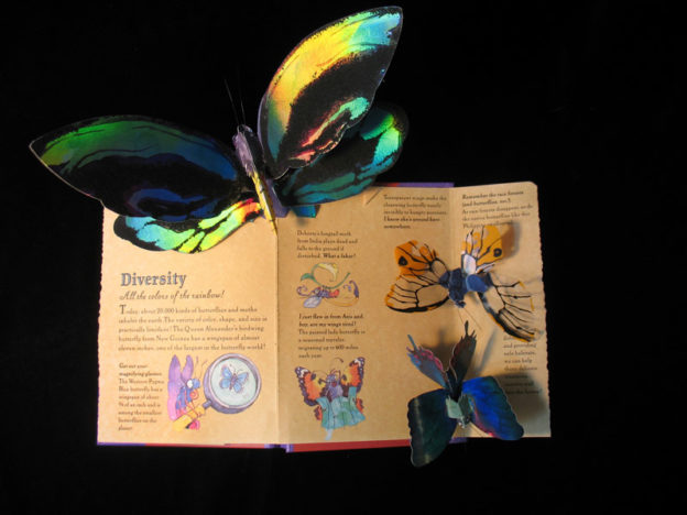 butterflies pop out of box