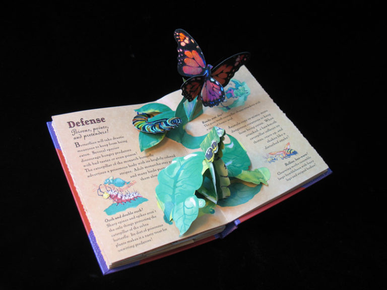 butterfliespopupbook3 Matthew Reinhart