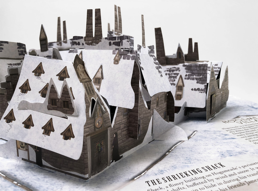 Harry Potter: A Pop-Up Book  Harry potter pop, Harry potter pop up, Pop up  book